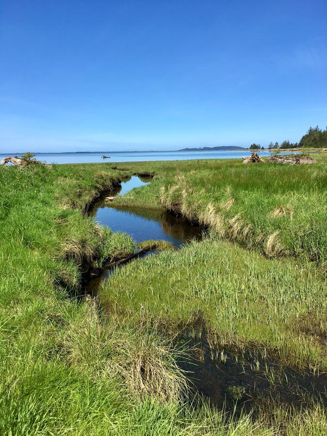 Tillamook Bay City Rv Park Exterior photo